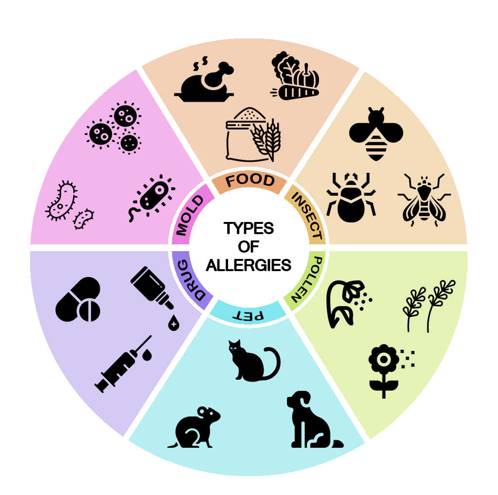 types of allergy wheel